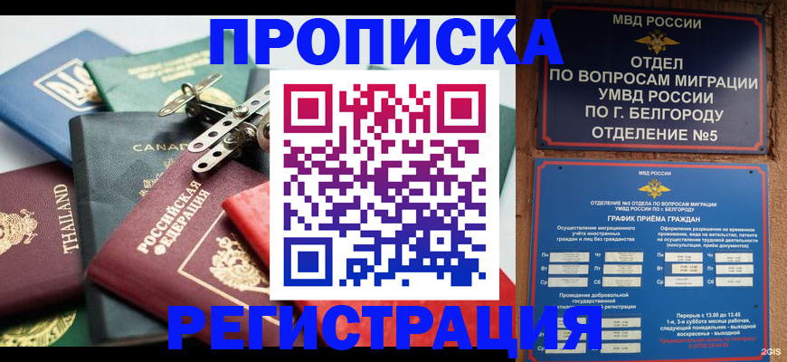 временная регистрация недорого в Бийске